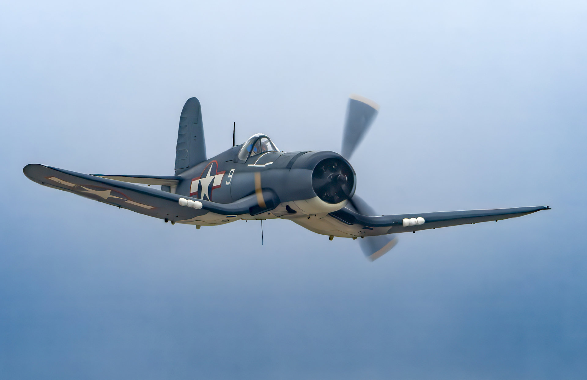 Bent-Wing Legend Aloft